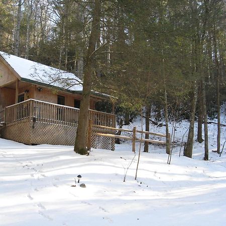 Valle Crucis Farm Zewnętrze zdjęcie