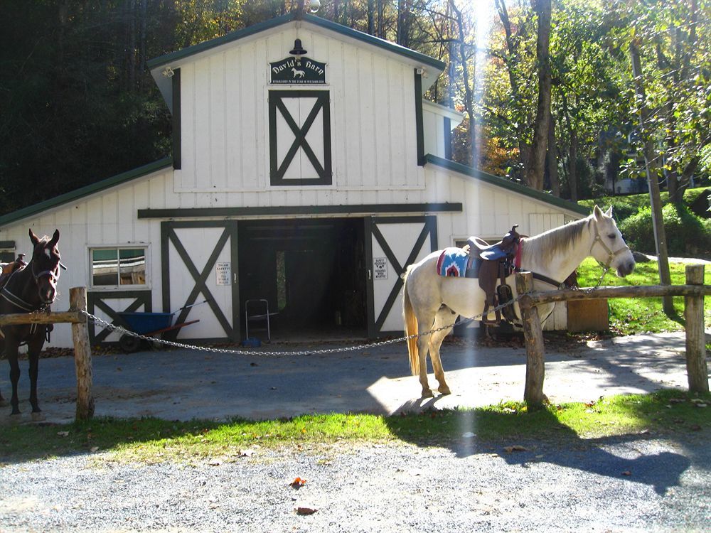 Valle Crucis Farm Zewnętrze zdjęcie