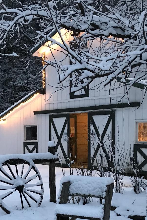 Valle Crucis Farm Zewnętrze zdjęcie